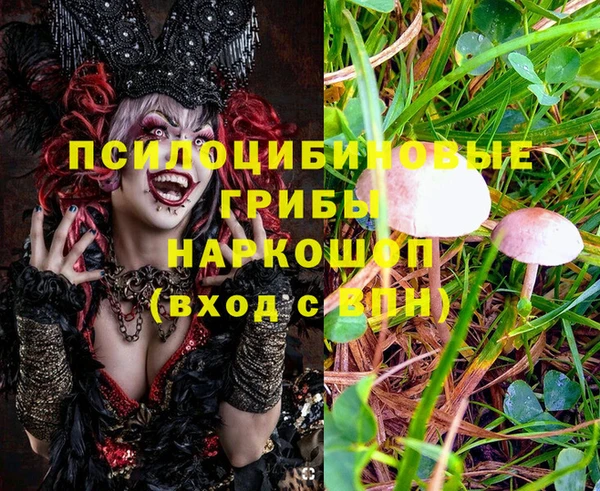 MDMA Инта